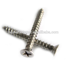 stainless steel Phillips Countersunk self tapping Screw (M2-M10)